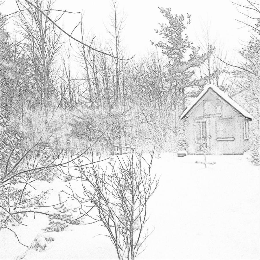 The Retreat House Blue Mountain Hotel Blue Mountains Zewnętrze zdjęcie